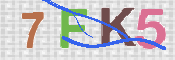 CAPTCHA 验证图片