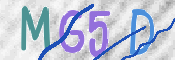 CAPTCHA 验证图片