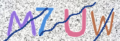 CAPTCHA 验证图片