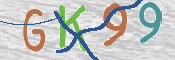 CAPTCHA 验证图片