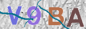 CAPTCHA 验证图片