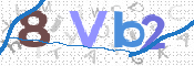 CAPTCHA 验证图片