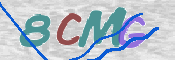 CAPTCHA 验证图片