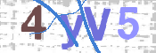 CAPTCHA 验证图片