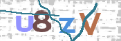 CAPTCHA 验证图片