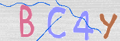 CAPTCHA 验证图片