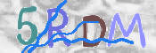CAPTCHA 验证图片