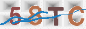 CAPTCHA 验证图片