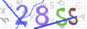 CAPTCHA 验证图片