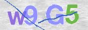 CAPTCHA 验证图片