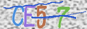 CAPTCHA 验证图片