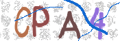 CAPTCHA 验证图片