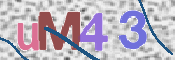 CAPTCHA 驗證圖片