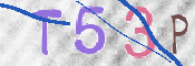 CAPTCHA 验证图片