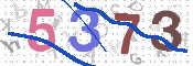 CAPTCHA 验证图片