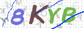 CAPTCHA 驗證圖片