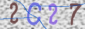 CAPTCHA 验证图片