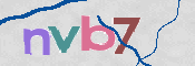 CAPTCHA 验证图片