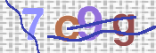 CAPTCHA 验证图片