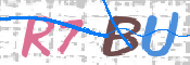 CAPTCHA 验证图片