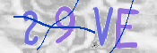 CAPTCHA 验证图片