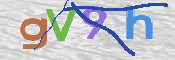 CAPTCHA 验证图片