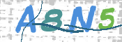 CAPTCHA 验证图片