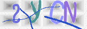 CAPTCHA 验证图片