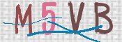 CAPTCHA 验证图片