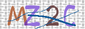 CAPTCHA 验证图片