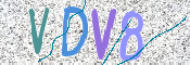 CAPTCHA 验证图片