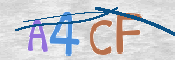 CAPTCHA 验证图片