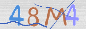 CAPTCHA 驗證圖片