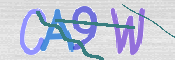 CAPTCHA 验证图片