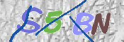CAPTCHA 验证图片