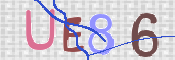 CAPTCHA 验证图片