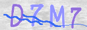CAPTCHA 验证图片