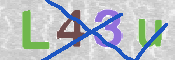 CAPTCHA 验证图片