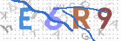 CAPTCHA 验证图片