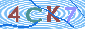 CAPTCHA 验证图片