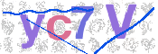 CAPTCHA 驗證圖片