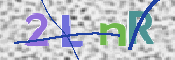 CAPTCHA 验证图片
