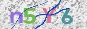 CAPTCHA 验证图片