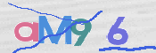 CAPTCHA 验证图片