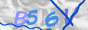 CAPTCHA 验证图片