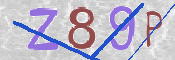 CAPTCHA 验证图片