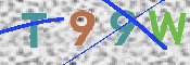 CAPTCHA 验证图片