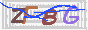 CAPTCHA 验证图片