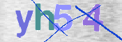 CAPTCHA 验证图片