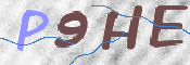 CAPTCHA 验证图片